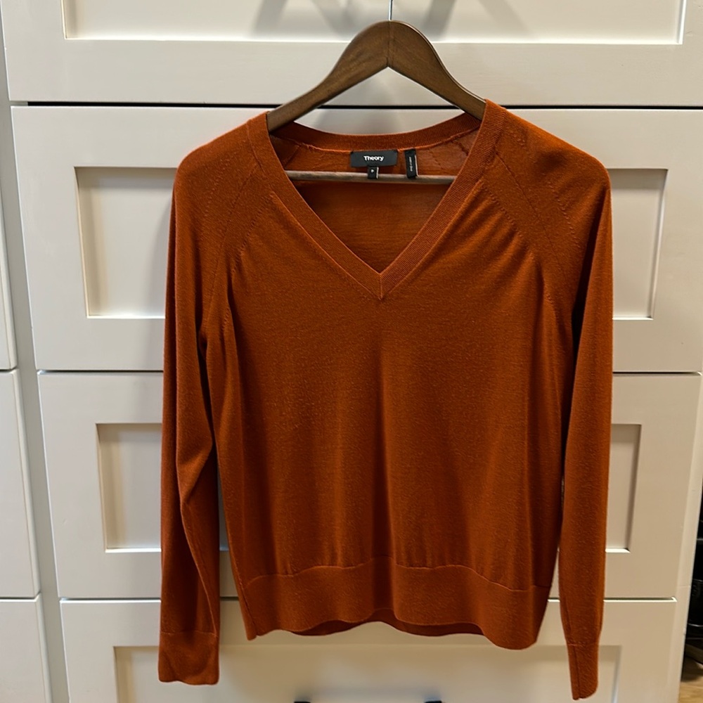 Theory v-neck sweater